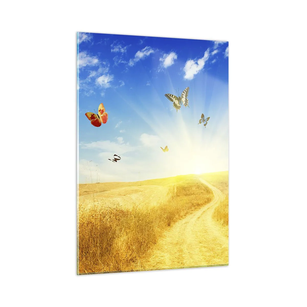 Quadro su vetro - Farfalle che volteggiano su una strada sterrata all'alba - 50x70cm - Come non amare l'estate? - Decorazione murale moderna per soggiorno e camera da letto ARTTOR