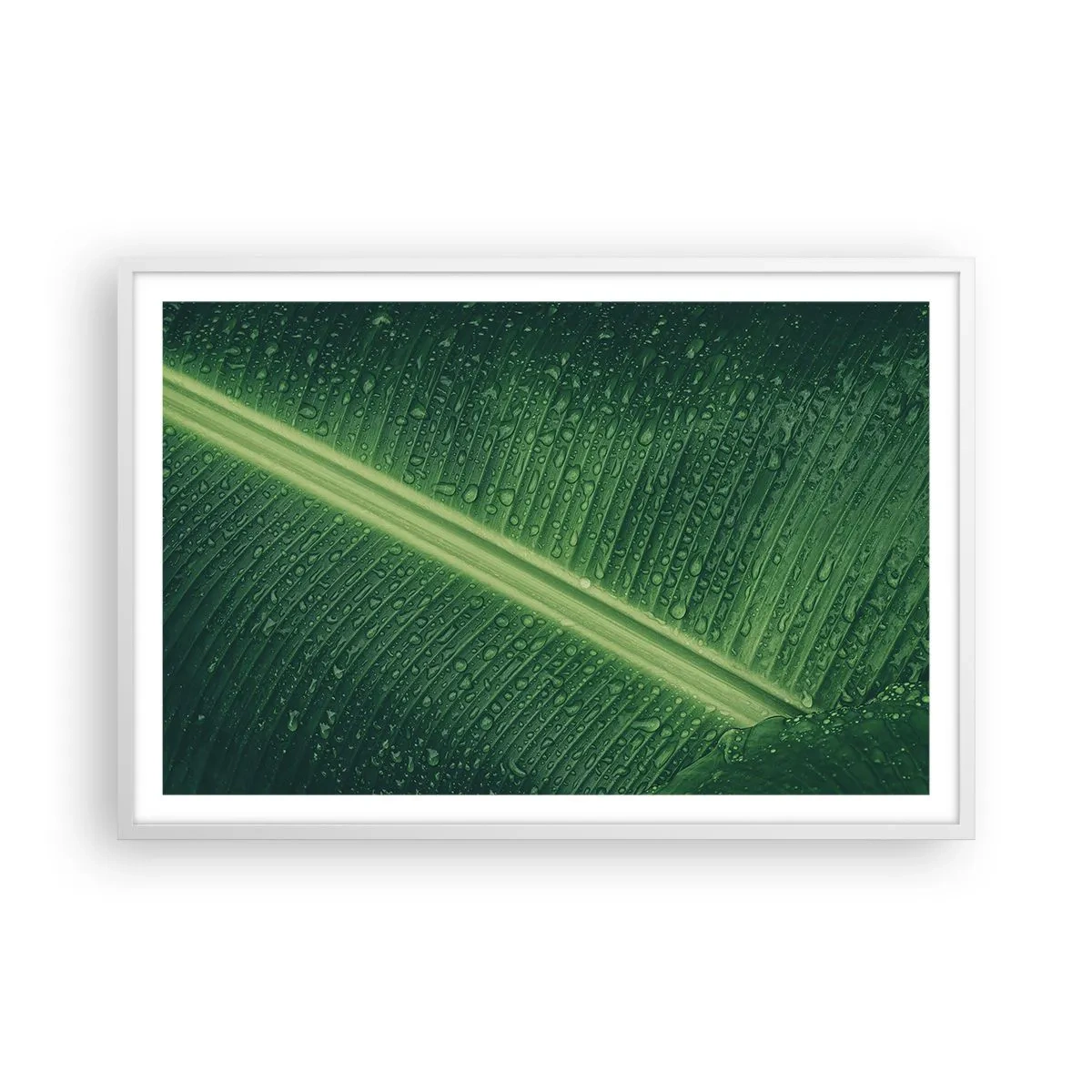 Poster in cornice bianca - La struttura del verde - 91x61 cm