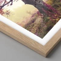 Rovere chiaro