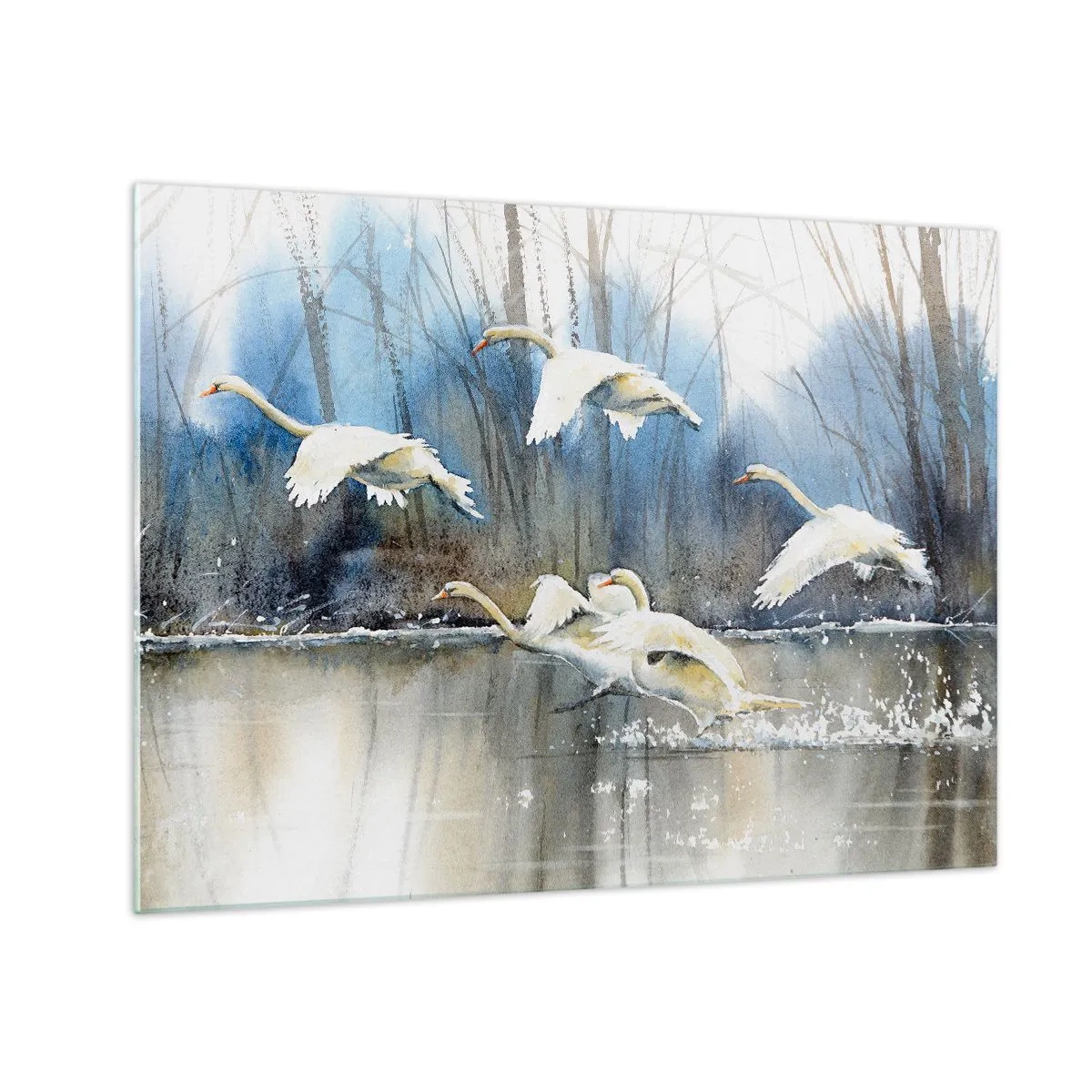 Quadro su vetro - Cigni selvatici che volano sopra un tranquillo lago nella foresta - 70x50cm - Come la favola dei cigni selvatici - Decorazione murale moderna per soggiorno e camera da letto ARTTOR