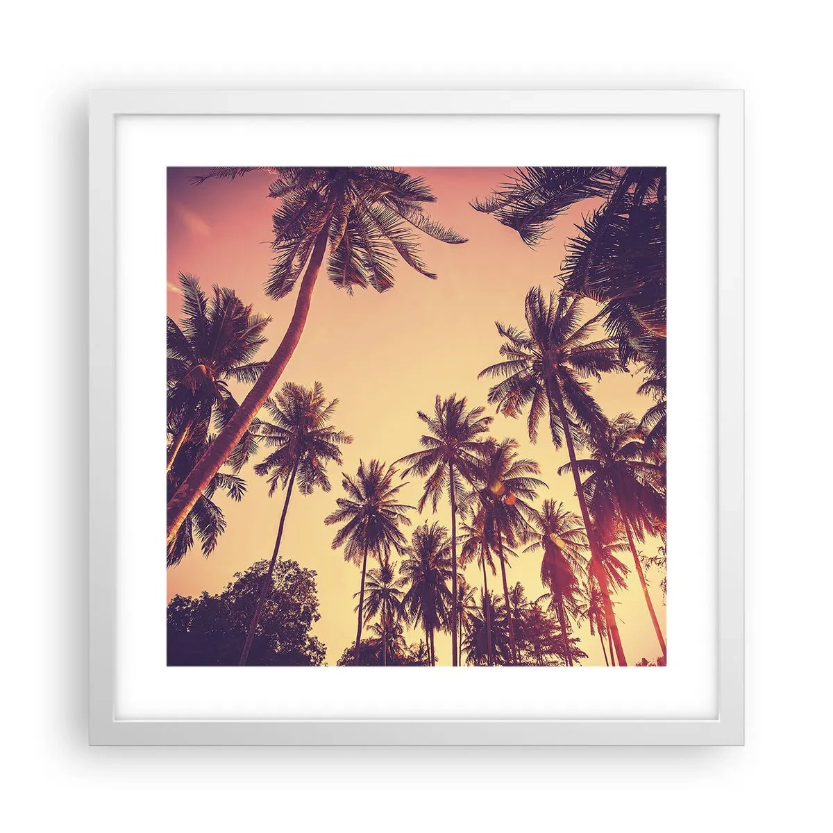 Poster in cornice bianca - Composizione tropicale - 40x40 cm