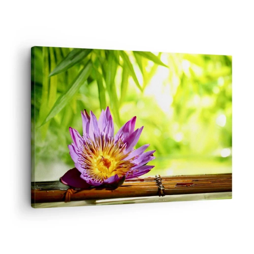 Quadro su tela - Stampe su Tela - Fiore di loto viola su uno sfondo di foglie di bambù verdi - 70x50cm - Al sole dell'Asia - Decorazione murale moderna per soggiorno e camera da letto ARTTOR