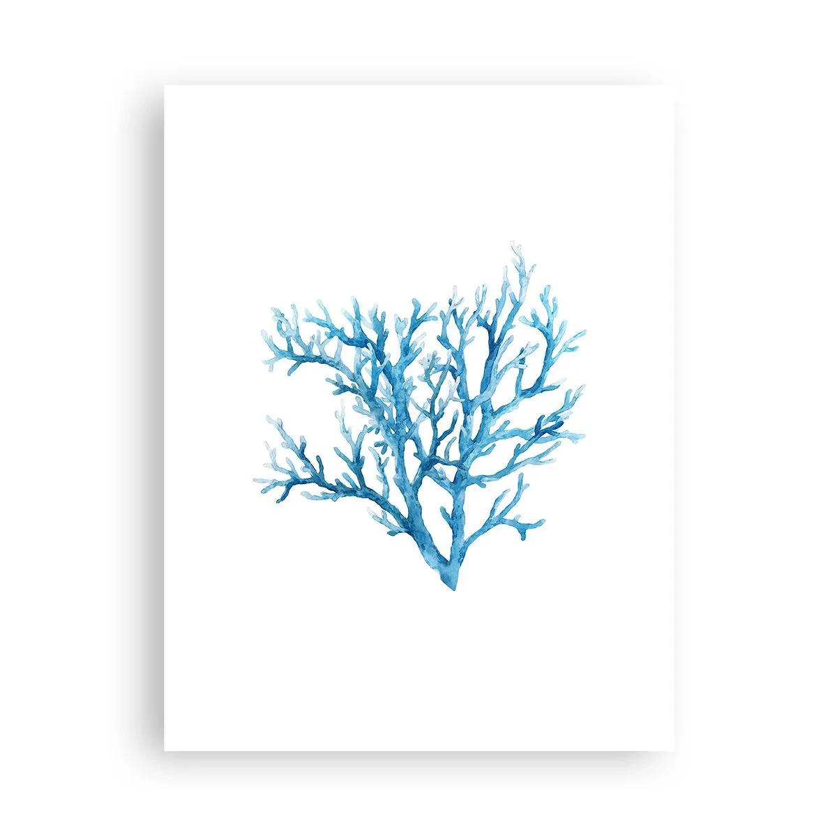 Poster - Filigrana marina - 30x40 cm