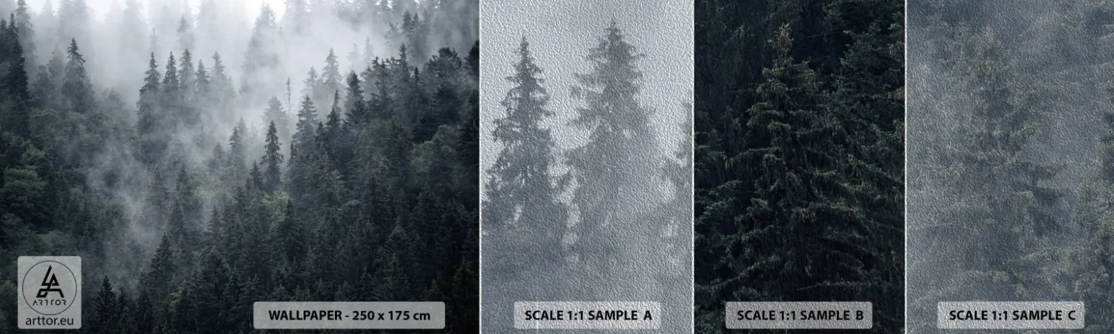 Campione di Fotomurale Premium Sand - Alba nel bosco - Paesaggio, foresta, Natura - 100x30 cm