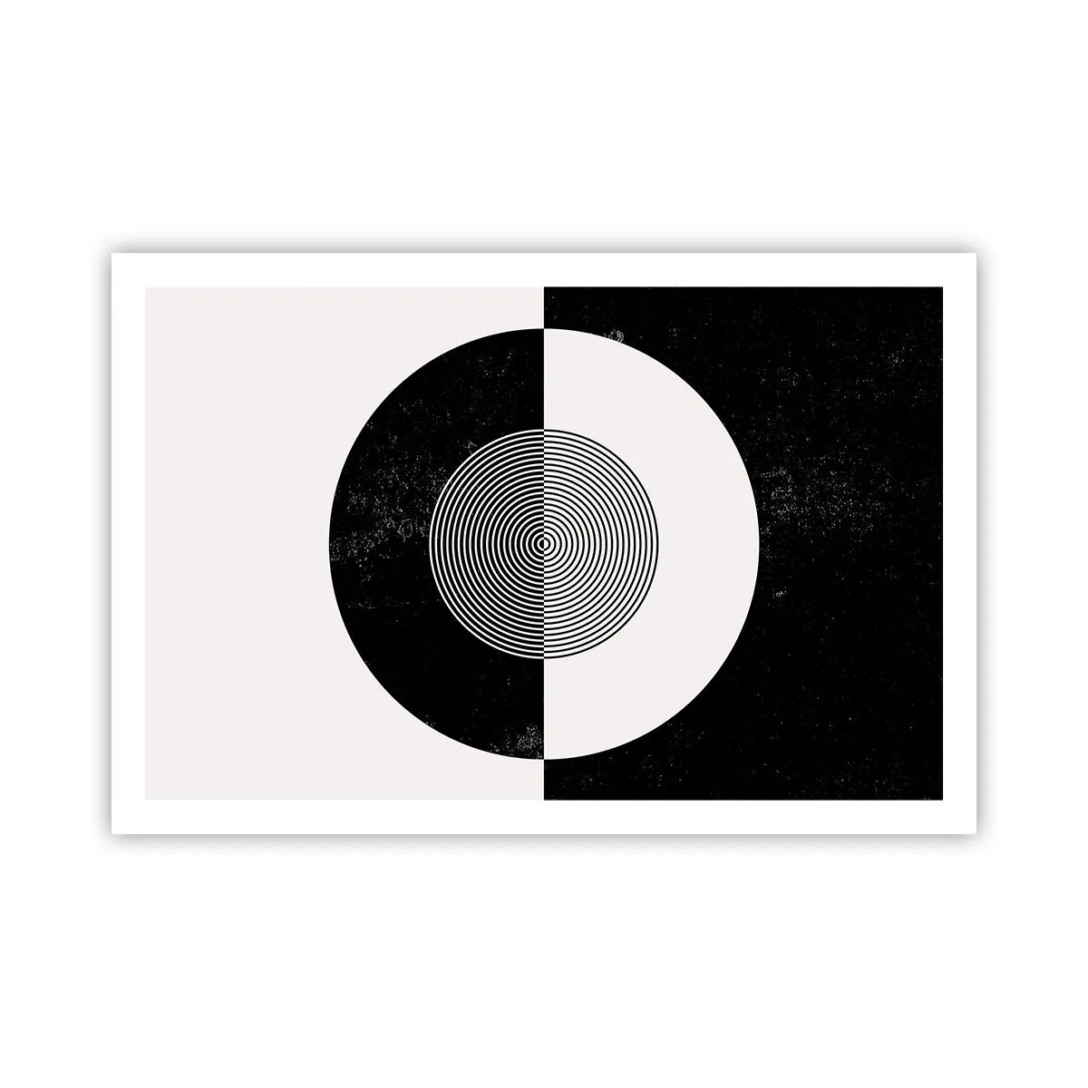 Poster - Armonia in bianco e nero - 91x61 cm