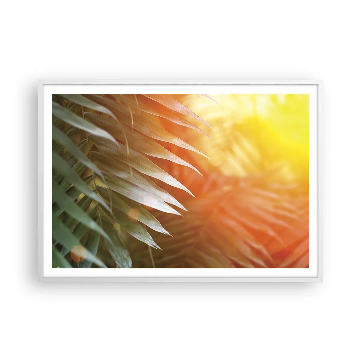 Poster in cornice bianca - L'alba nella giungla - 100x70 cm