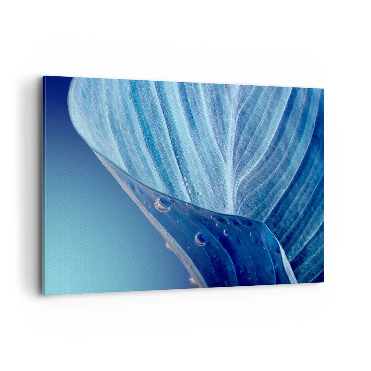 Quadro su tela - Stampe su Tela - Una foglia blu con gocce d'acqua visibili - 120x80cm - Gocce di blu nascoste - Decorazione murale moderna per soggiorno e camera da letto ARTTOR