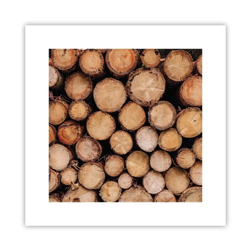 Poster - Nuovo inizio - 30x30 cm