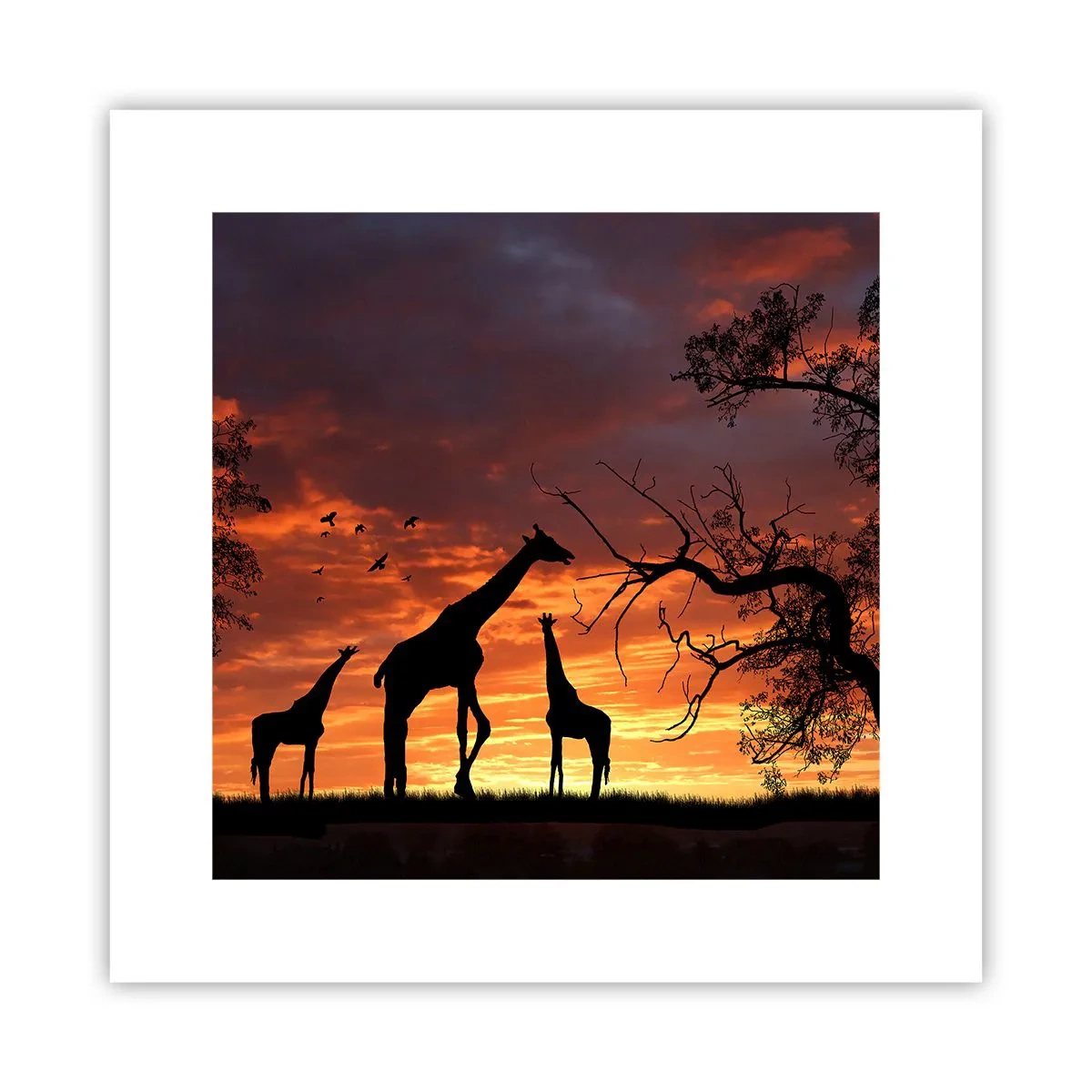 Poster - Piccola cena tra amici - 30x30 cm