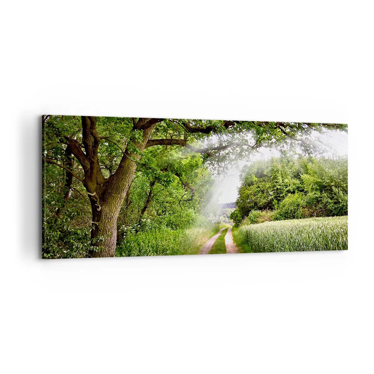 Quadro su tela - Stampe su Tela - Et in Arcadia ego - 100x40 cm