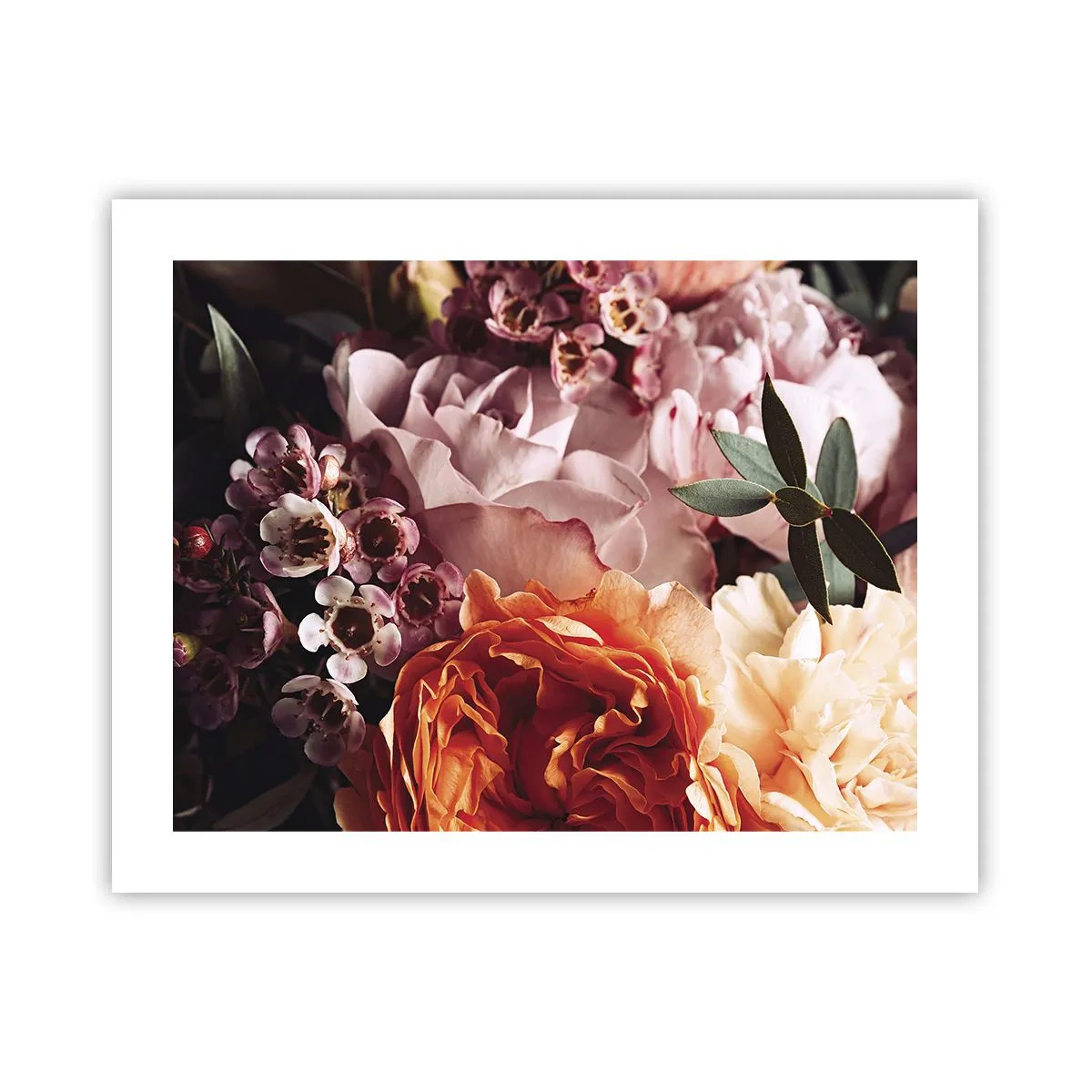 Poster - Avvolti dalla bellezza - 50x40 cm