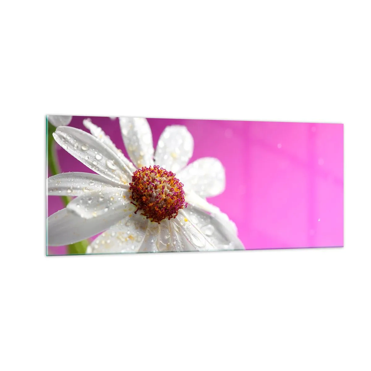 Quadro su vetro - Modesto nella sua bellezza - 100x40 cm