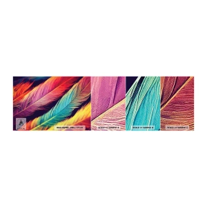Campione Di Fotomurale Standard Eco - Arcobaleno piumato - Piume, Leggero, Colorato - 100x30 cm