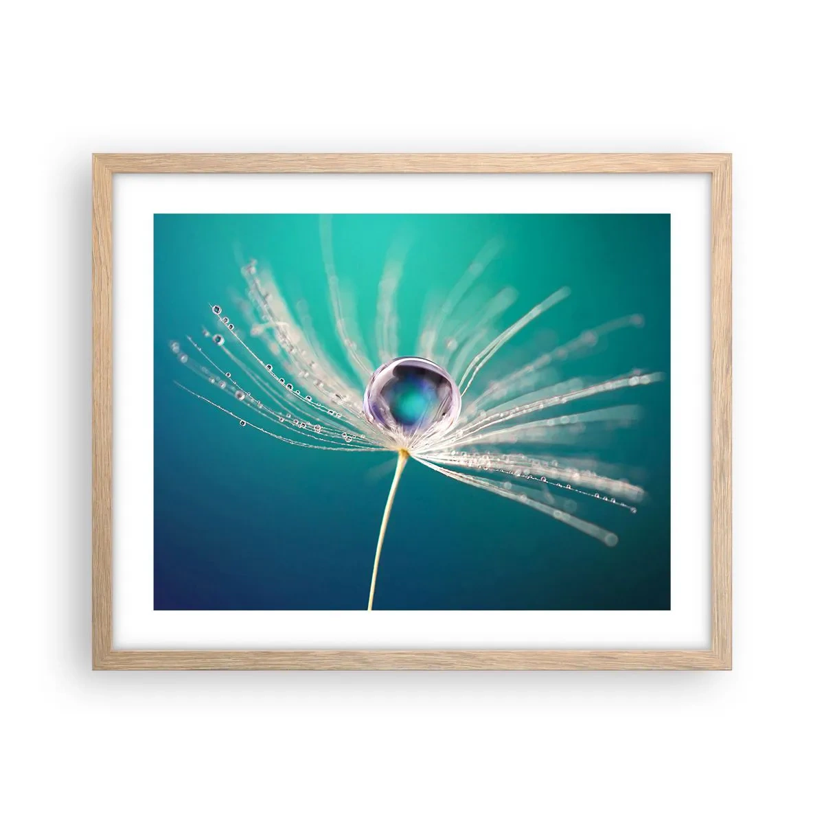 Poster in cornice rovere chiaro - Attimo mistico - 50x40 cm