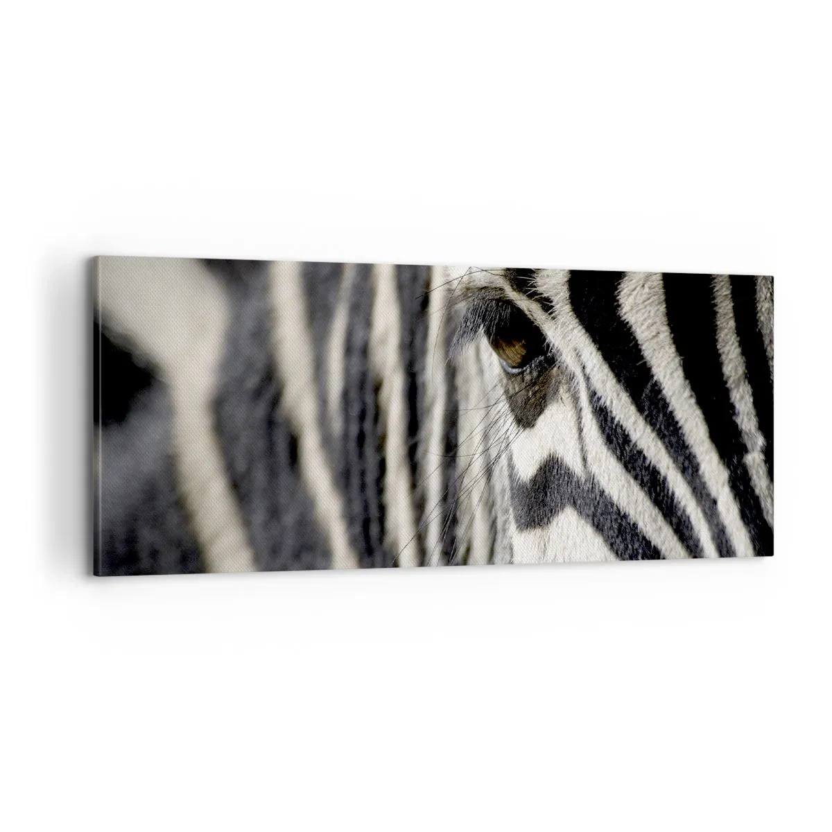 Quadro su tela - Stampe su Tela - Ritratto a strisce - 100x40 cm