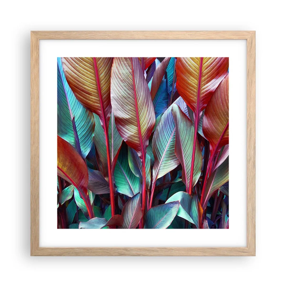 Poster in cornice rovere chiaro - Selva colorata - 40x40 cm