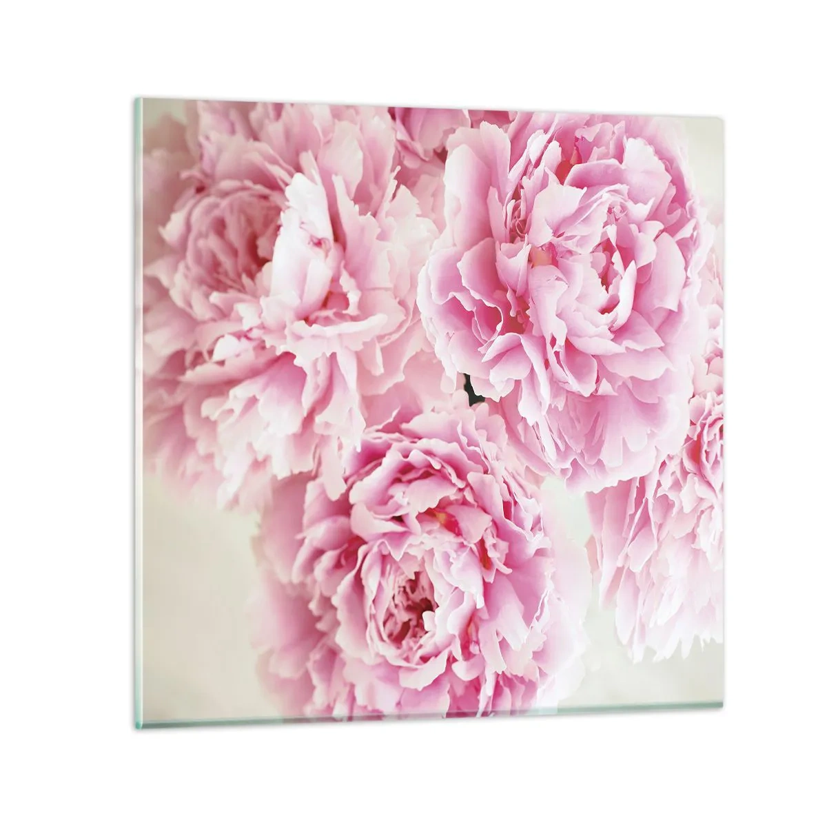 Quadro su vetro - Nel fasto rosa - 30x30 cm