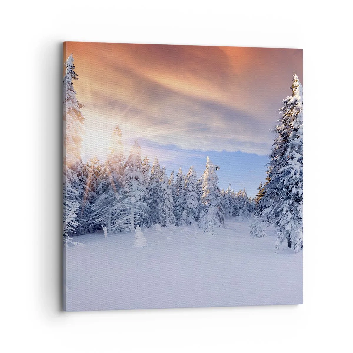 Quadro su tela - Stampe su Tela - Spettacolo innevato della natura - 70x70 cm