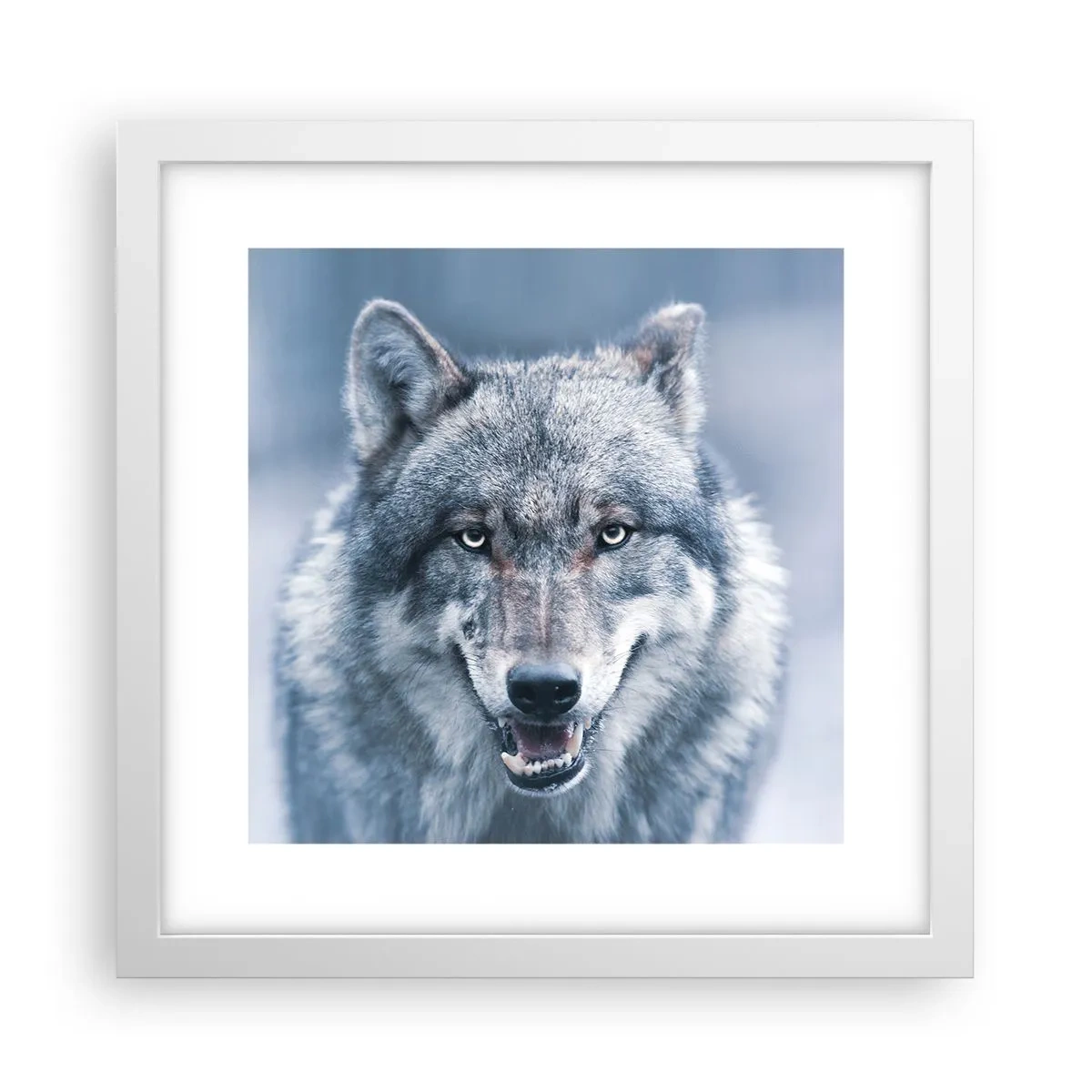 Poster in cornice bianca - Accetti la sfida? - 30x30 cm