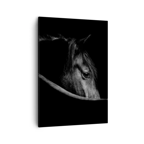 Quadro su tela - Stampe su Tela - Ritratto in bianco e nero di un cavallo con un sottile gioco di luci e ombre su uno sfondo scuro. - 50x70cm - Il principe nero - Decorazione murale moderna per soggiorno e camera da letto ARTTOR