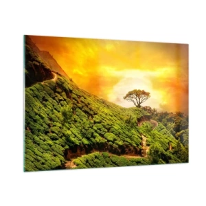 Quadro su vetro - Colline verdi con un albero solitario al tramonto - 100x70cm - Sentiero tortuoso, pendio verde - Decorazione murale moderna per soggiorno e camera da letto ARTTOR