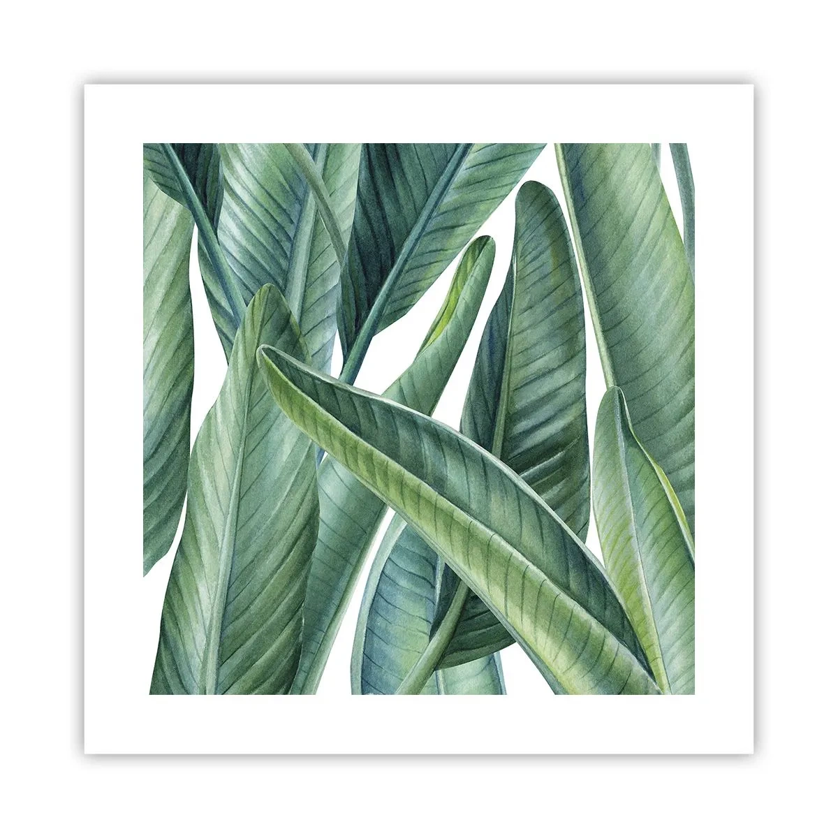 Poster - Il verde in sé - 40x40 cm