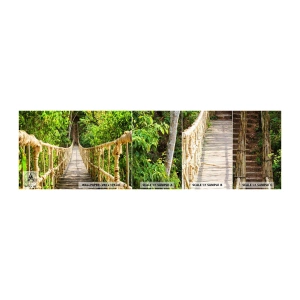 Campione Di Fotomurale Standard Eco - Sospeso nel verde - Giungla, Ponte di corda, Natura - 100x30 cm