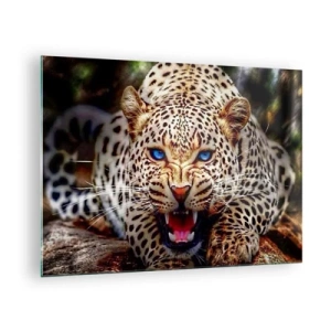 Quadro su vetro - Un feroce leopardo dagli occhi azzurri in natura - 70x50cm - La rabbia non rovina la bellezza - Decorazione murale moderna per soggiorno e camera da letto ARTTOR