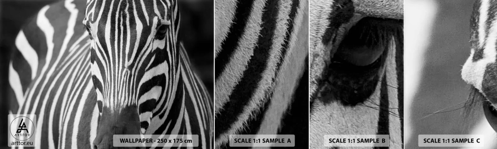 Campione Di Fotomurale Standard Eco - Il mondo è in bianco e nero - Animali, Costolette, Bianco e nero - 100x30 cm