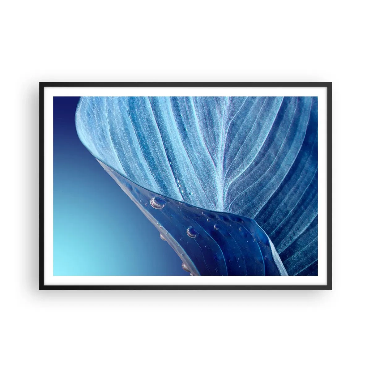 Poster in cornice nera - Una foglia blu con gocce d'acqua visibili - 100x70cm - Gocce di blu nascoste - Decorazione murale moderna per soggiorno e camera da letto ARTTOR