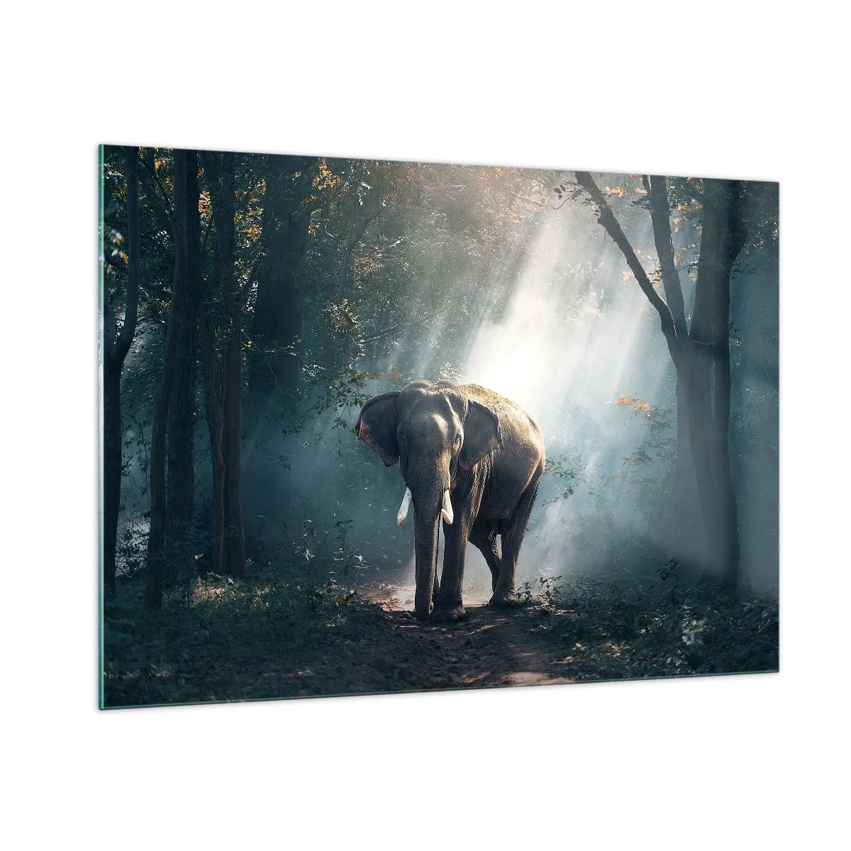 Quadro su vetro - Un elefante che cammina nella foresta mentre la luce del sole filtra tra gli alberi. - 100x70cm - Tranquilla passeggiata - Decorazione murale moderna per soggiorno e camera da letto ARTTOR