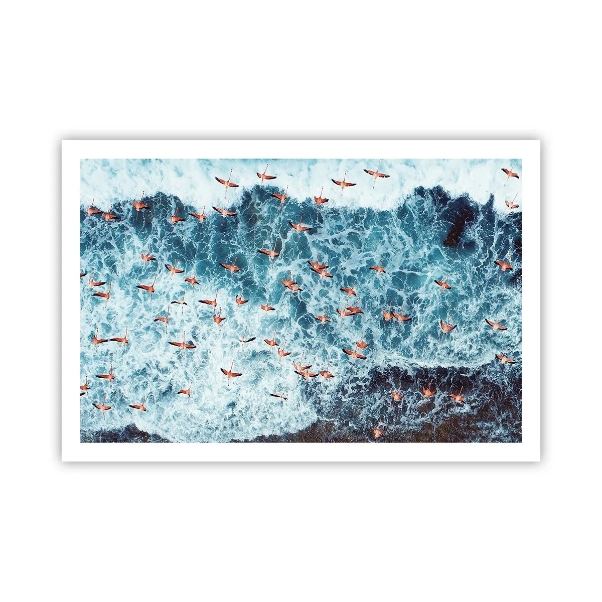 Poster - Parata sotto il mare - 91x61 cm