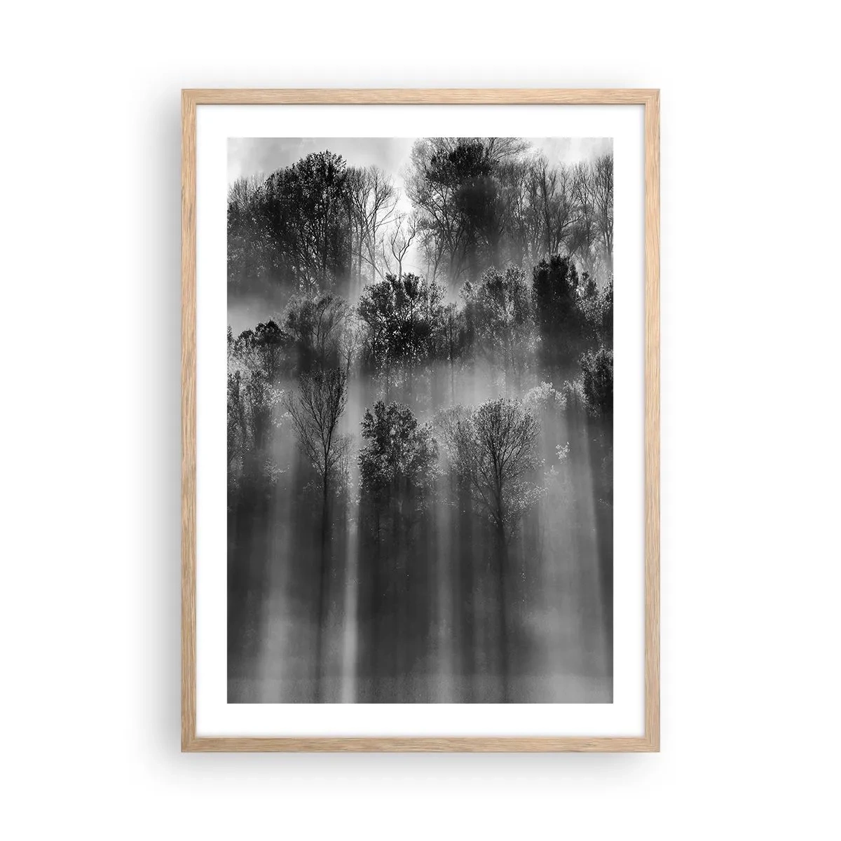 Poster in cornice rovere chiaro - Nei getti di luce - 50x70 cm