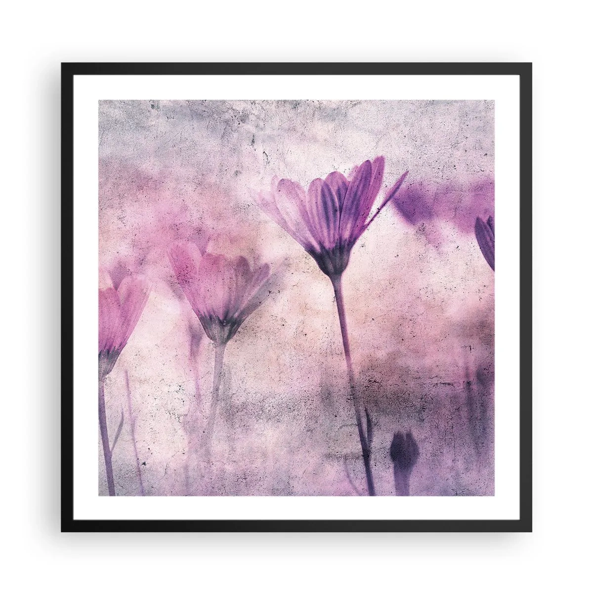 Poster in cornice nera - Il sogno dei fiori - 60x60 cm