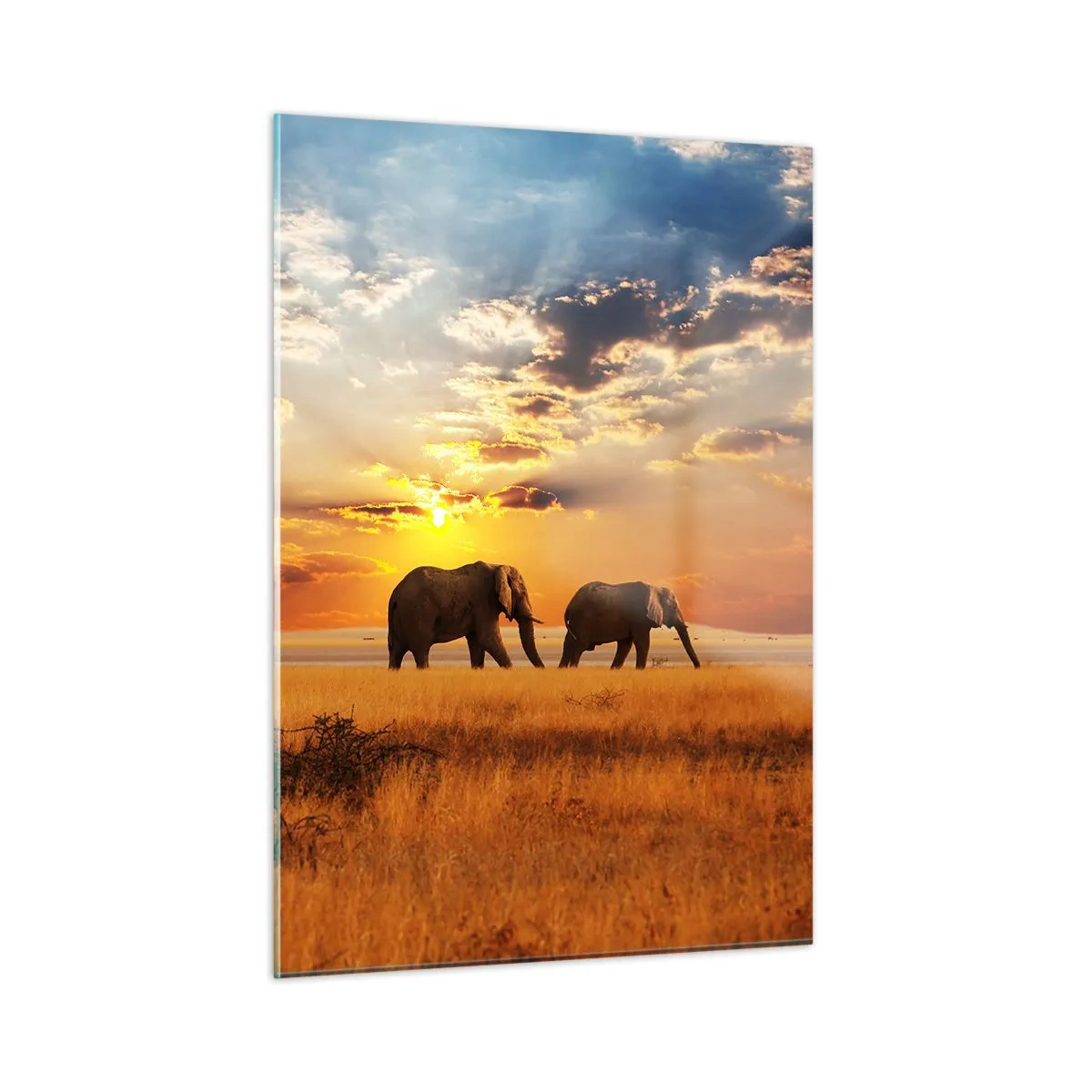 Quadro su vetro - Elefanti nella savana africana al tramonto - 50x70cm - Passeggiata familiare - Decorazione murale moderna per soggiorno e camera da letto ARTTOR