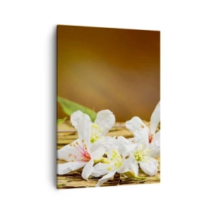Quadro su tela - Stampe su Tela - Fiori bianchi su uno sfondo di legno alla luce naturale - 50x70cm - Promessa innocente - Decorazione murale moderna per soggiorno e camera da letto ARTTOR