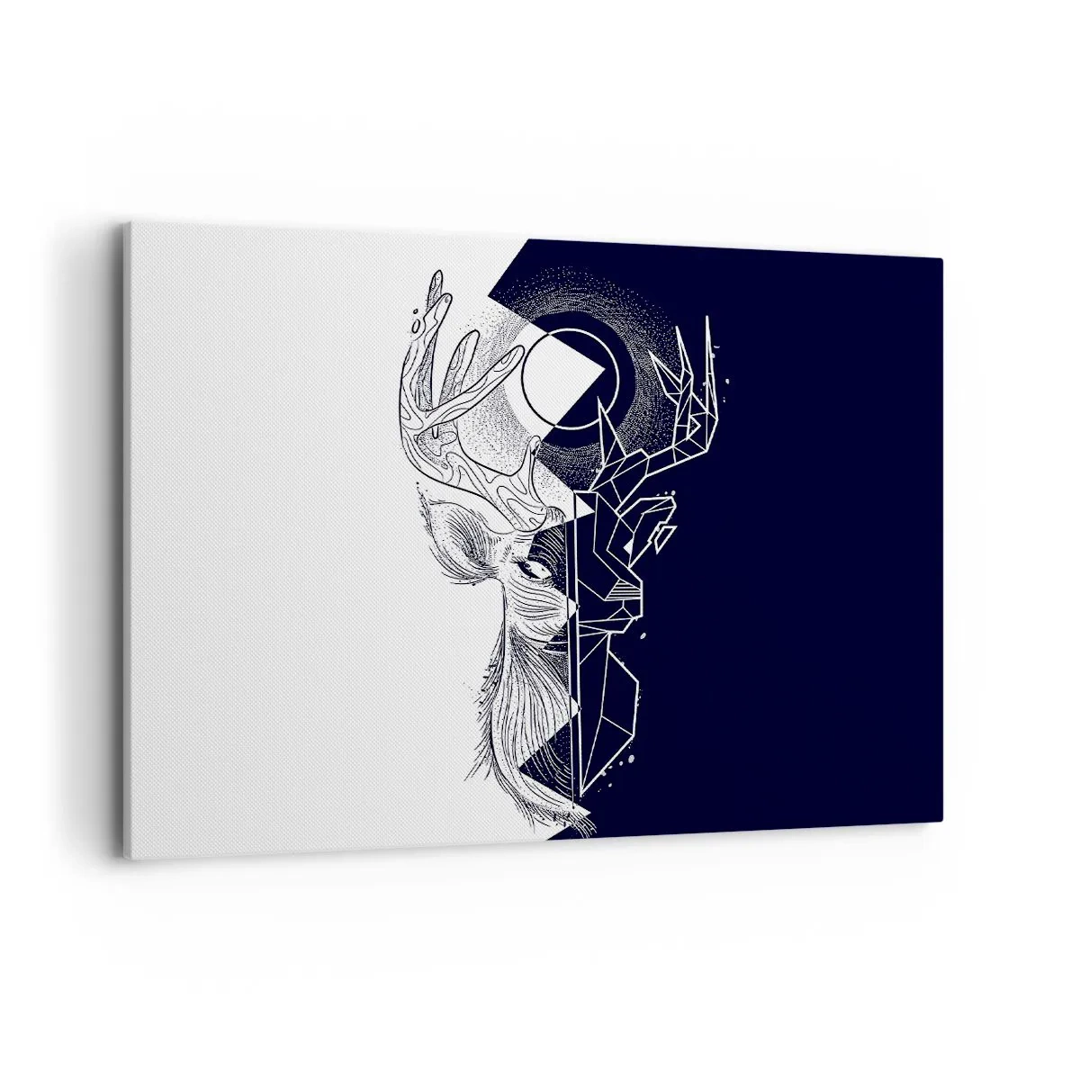 Quadro su tela - Stampe su Tela - Geometria e natura in una composizione simbolica - 100x70cm - Lotta e unità degli opposti - Decorazione murale moderna per soggiorno e camera da letto ARTTOR