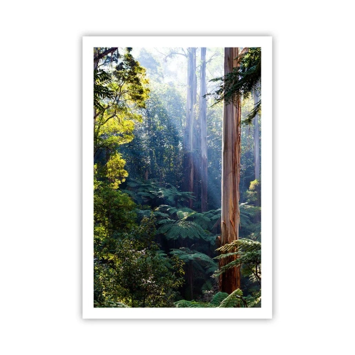 Poster - La favola del bosco - 61x91 cm