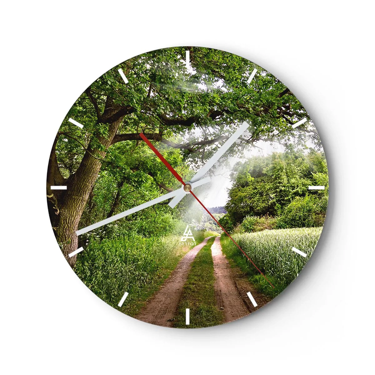 Orologio da parete - Orologio in Vetro - Una strada forestale tra alberi verdi e campi in una giornata di sole - 30x30cm - Et in Arcadia ego - Decorazione murale moderna per soggiorno, cucina e camera da letto ARTTOR