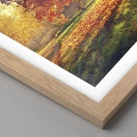 Rovere chiaro