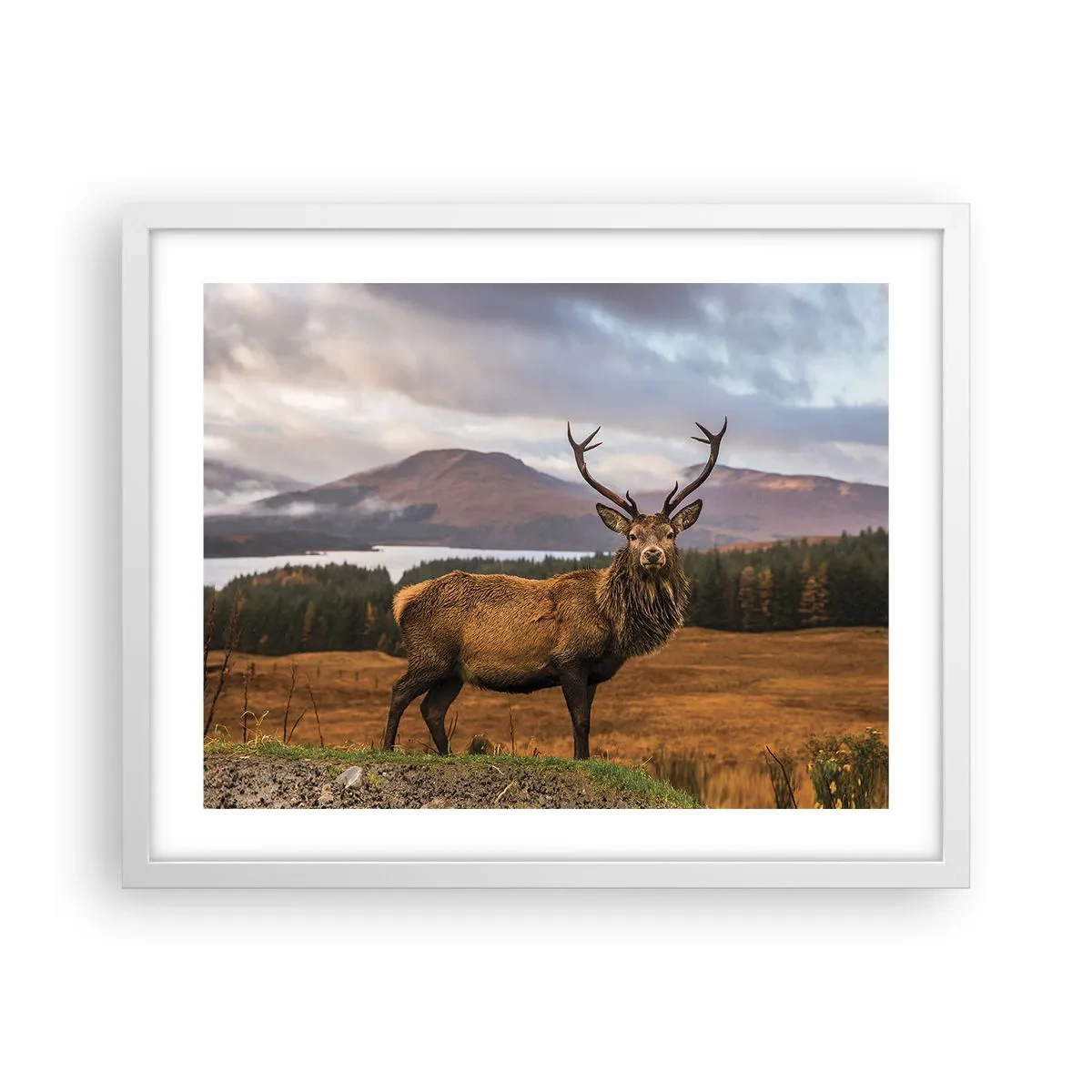 Poster in cornice bianca - Maestà della natura - 50x40 cm