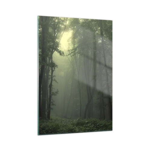 Quadro su vetro - Una foresta oscura avvolta nella nebbia con raggi di luce - 50x70cm - Prima che si svegli - Decorazione murale moderna per soggiorno e camera da letto ARTTOR