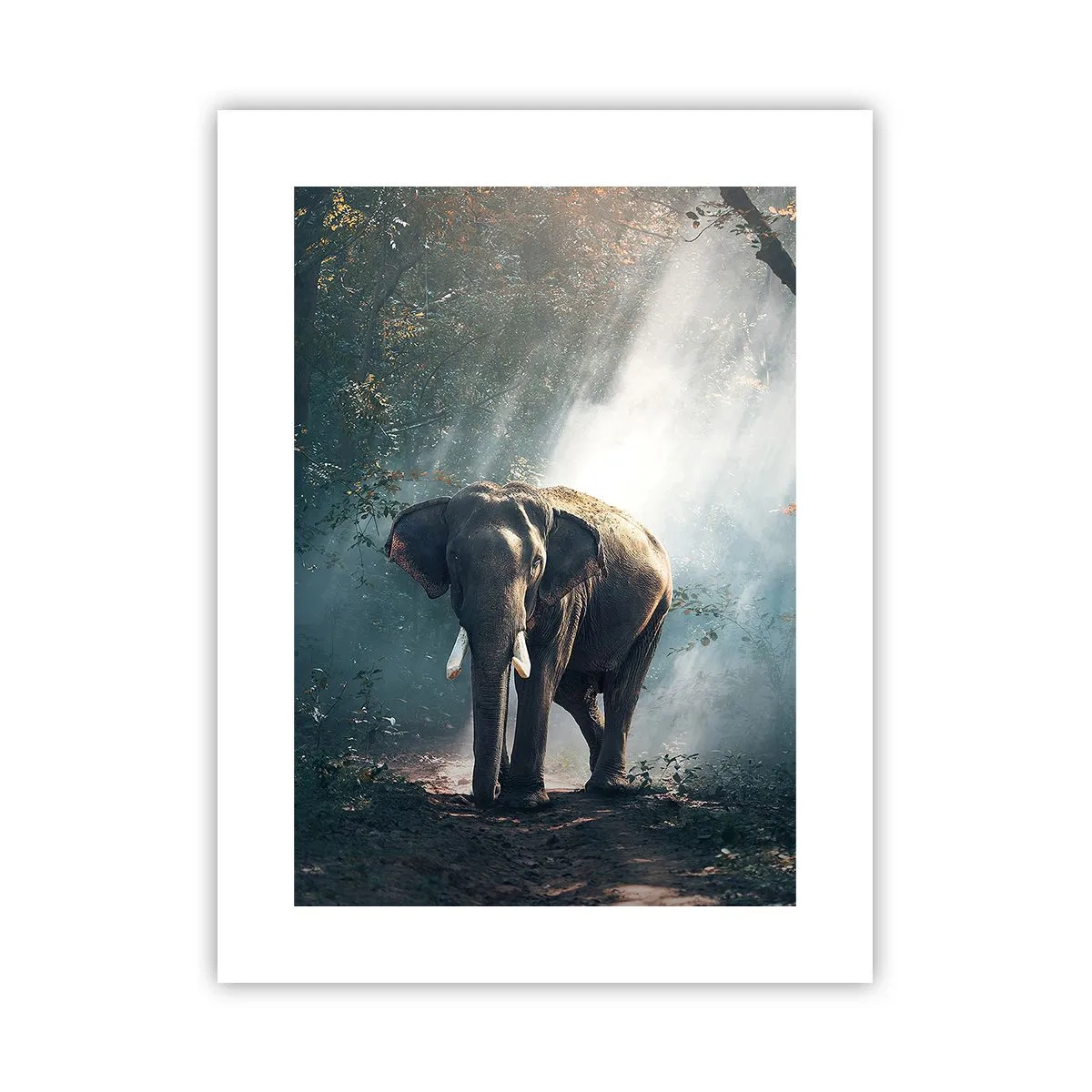 Poster - Tranquilla passeggiata - 30x40 cm