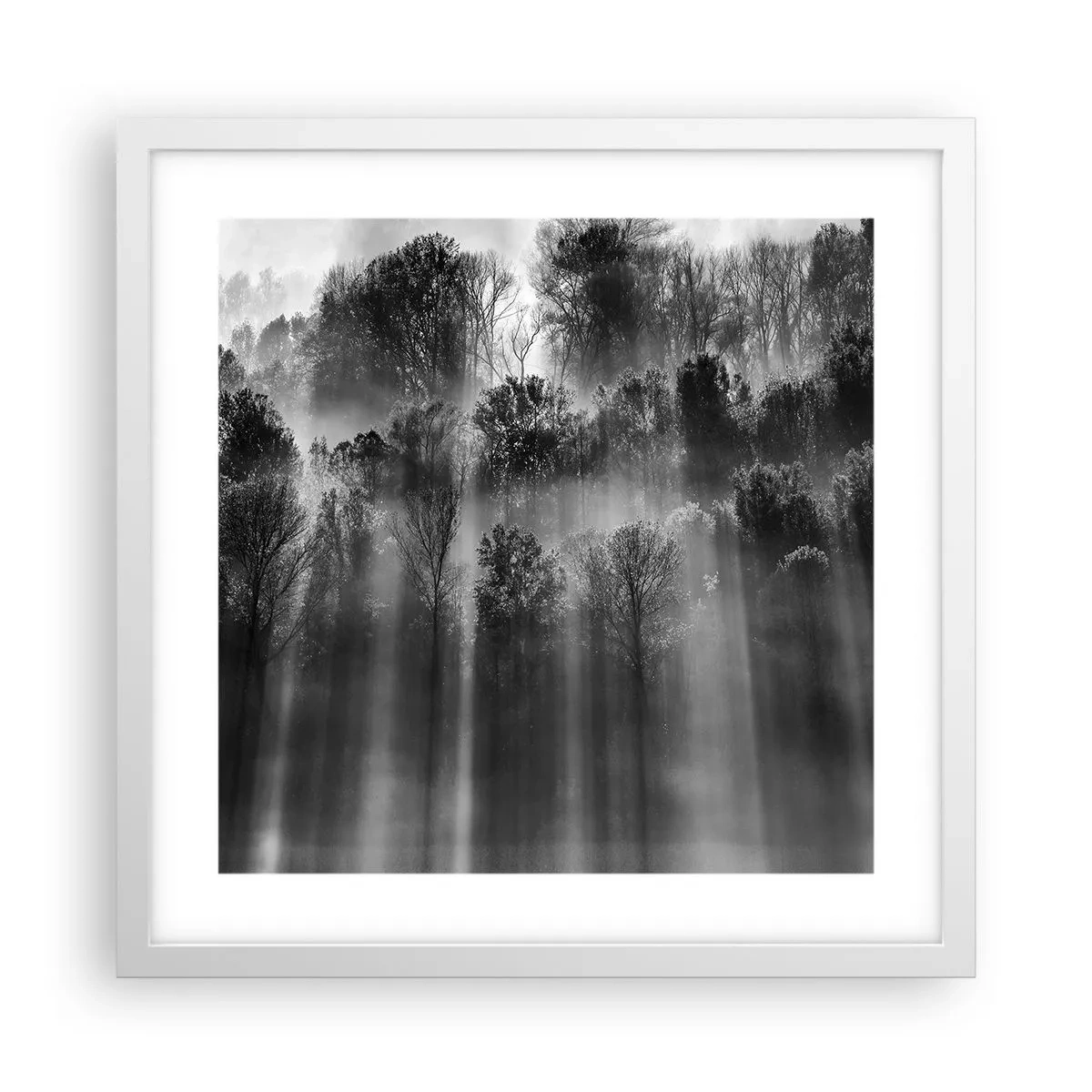Poster in cornice bianca - Nei getti di luce - 40x40 cm