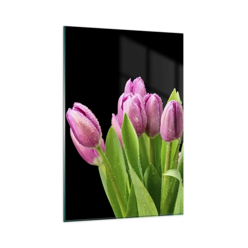 Quadro su vetro - Tulipani rosa con gocce di rugiada su sfondo nero - 80x120cm - Gioia lilla della primavera - Decorazione murale moderna per soggiorno e camera da letto ARTTOR