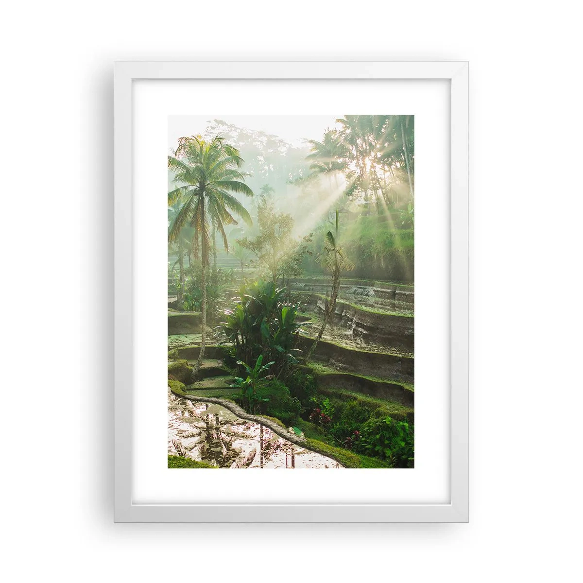 Poster in cornice bianca - Crescere al sole - 30x40 cm