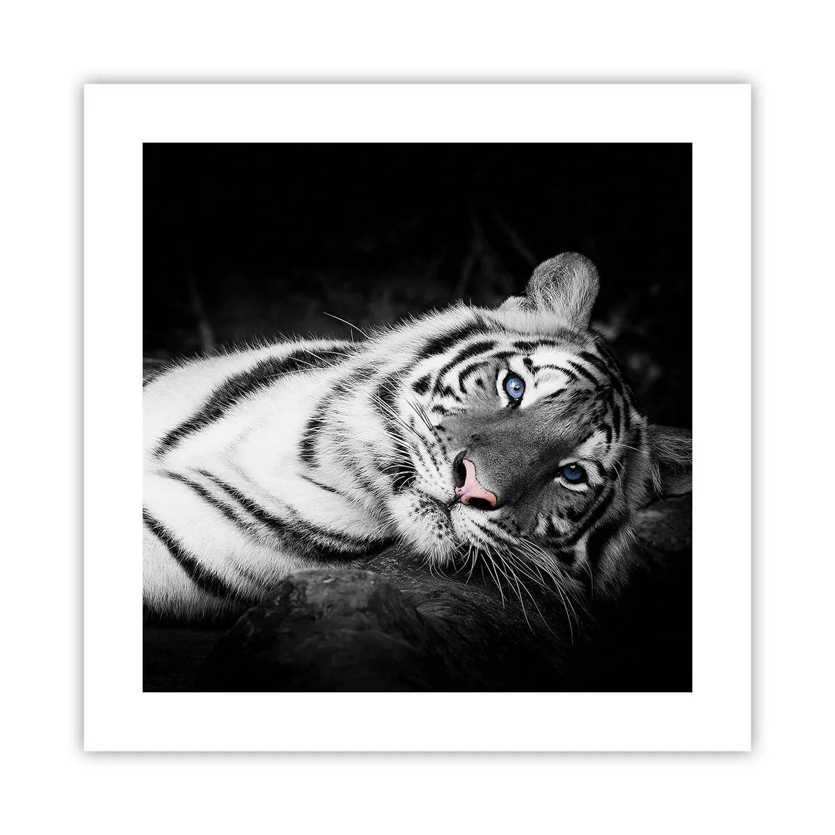 Poster - Selvaggità e pace - 40x40 cm