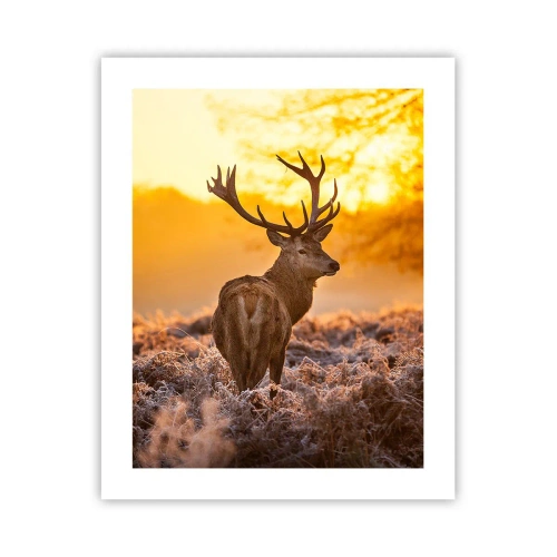 Poster - Il re del bosco estivo - 40x50 cm