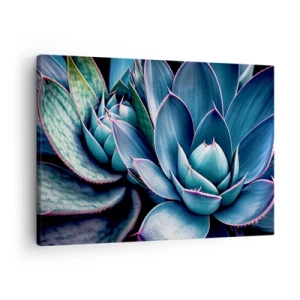Quadro su tela - Stampe su Tela - Agave nelle tonalità del blu e del verde con accenti rosa - 70x50cm - Forza vitale - Decorazione murale moderna per soggiorno e camera da letto ARTTOR