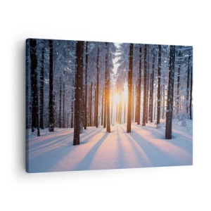 Quadro su tela - Stampe su Tela - Foresta invernale illuminata dai raggi del sole - 70x50cm - Decisamente nero su bianco - Decorazione murale moderna per soggiorno e camera da letto ARTTOR